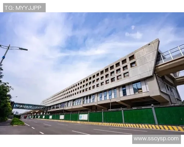 足球明星抵达新城市下飞机瞬间的精彩瞬间与独特风采展示